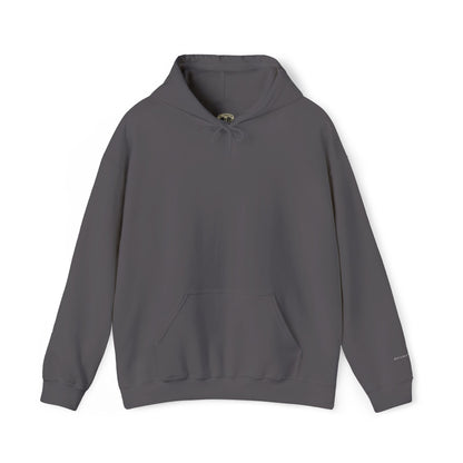 Due Tomorrow Co.™ Classic Hoodie