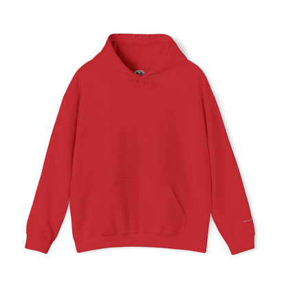 Due Tomorrow Co.™ Classic Hoodie